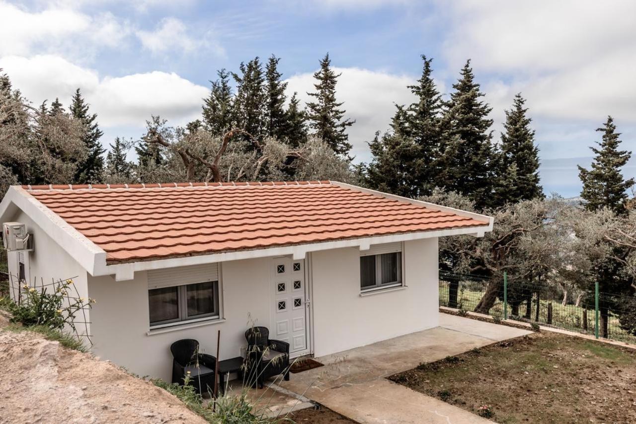 דירות באר Olive Grove מראה חיצוני תמונה